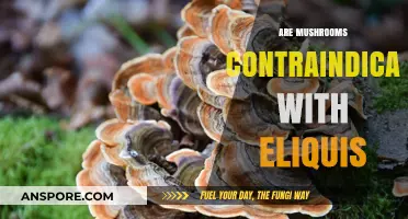 Mushrooms and Eliquis: A Safe Mix?