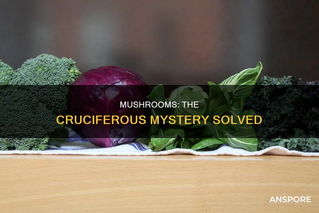 are mushrooms cruciferous