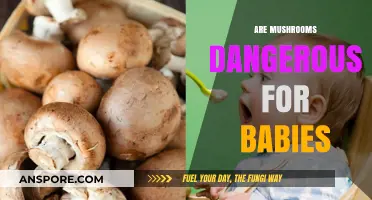 Mushrooms: Are They Safe for Babies?