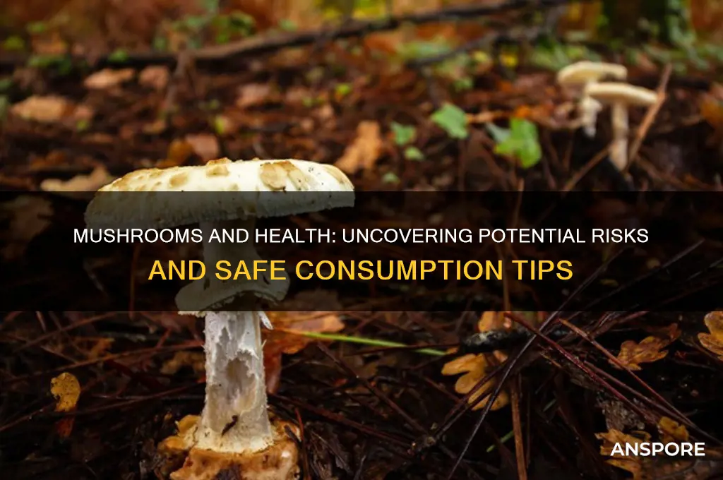 are mushrooms dangerous to your health