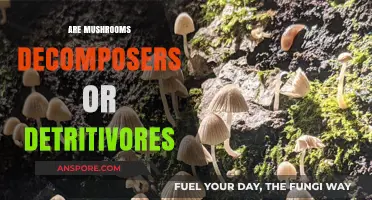 Mushrooms: Decomposing or Devouring?