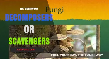 Mushrooms: Nature's Decomposers or Scavengers?