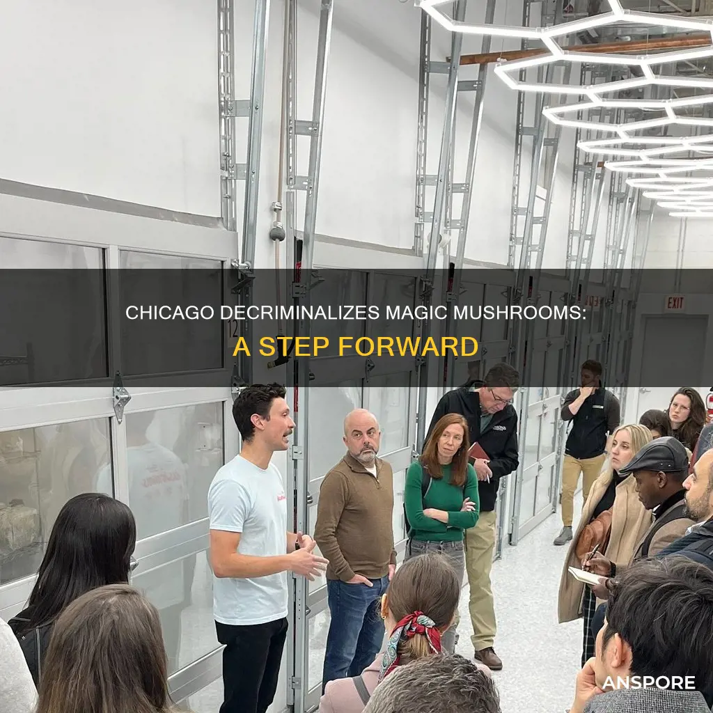 are mushrooms decriminalized in chicago