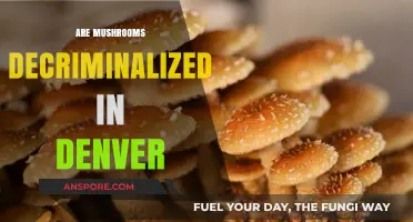 Denver Decriminalizes Mushrooms: What Does This Mean?