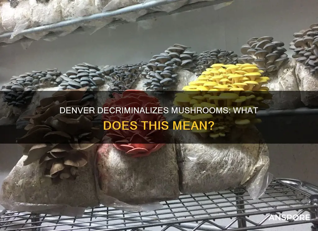 are mushrooms decriminalized in denver