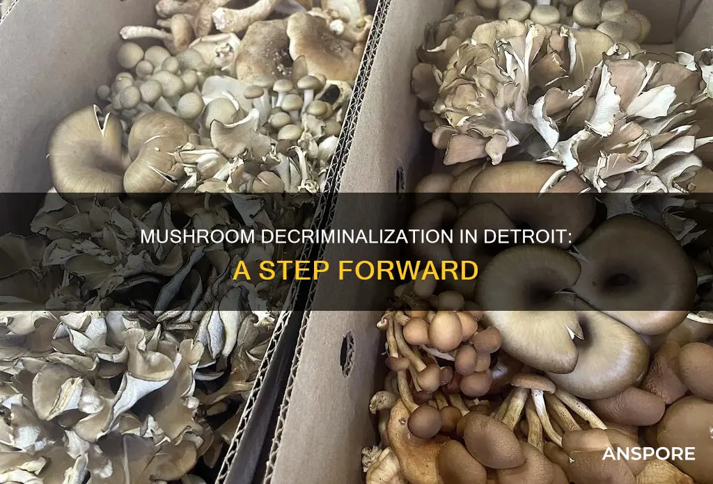are mushrooms decriminalized in detroit