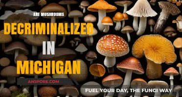 Mushroom Decriminalization in Michigan: What's the Latest?
