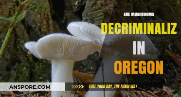 Mushrooms Decriminalized in Oregon: What Does This Mean?