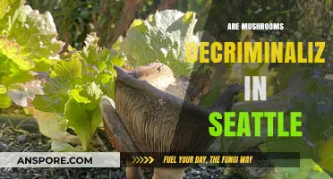 Seattle's New Approach to Mushroom Decriminalization