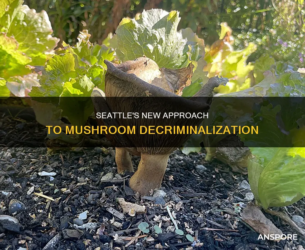 are mushrooms decriminalized in seattle