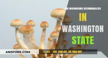 Are Mushrooms Legal in Washington? Decriminalization Status Explained