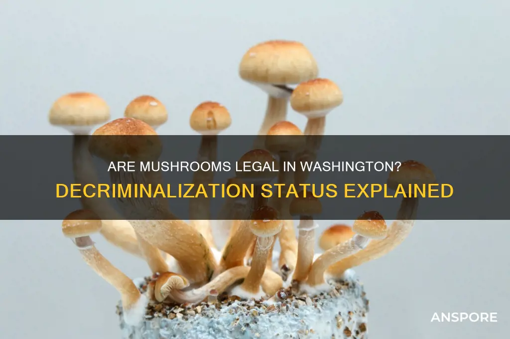 are mushrooms decriminalized in washington state