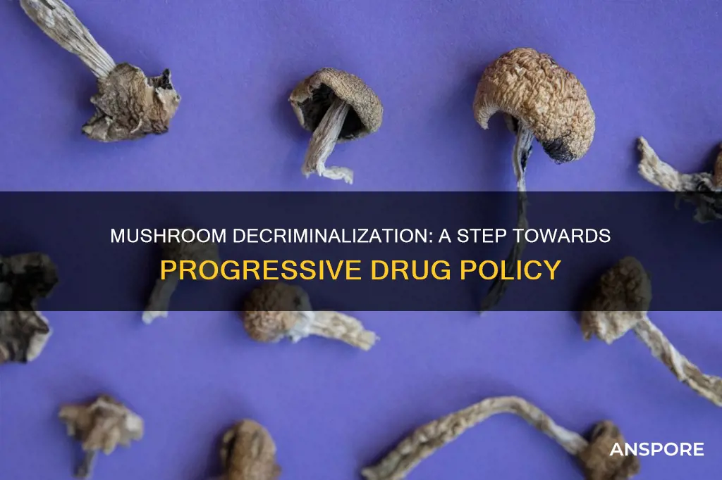 are mushrooms decriminalized