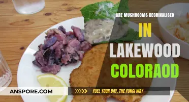 Are Mushrooms Legal in Lakewood, Colorado? Decriminalization Explained