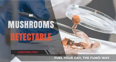 Mushrooms: Can You Detect Them?