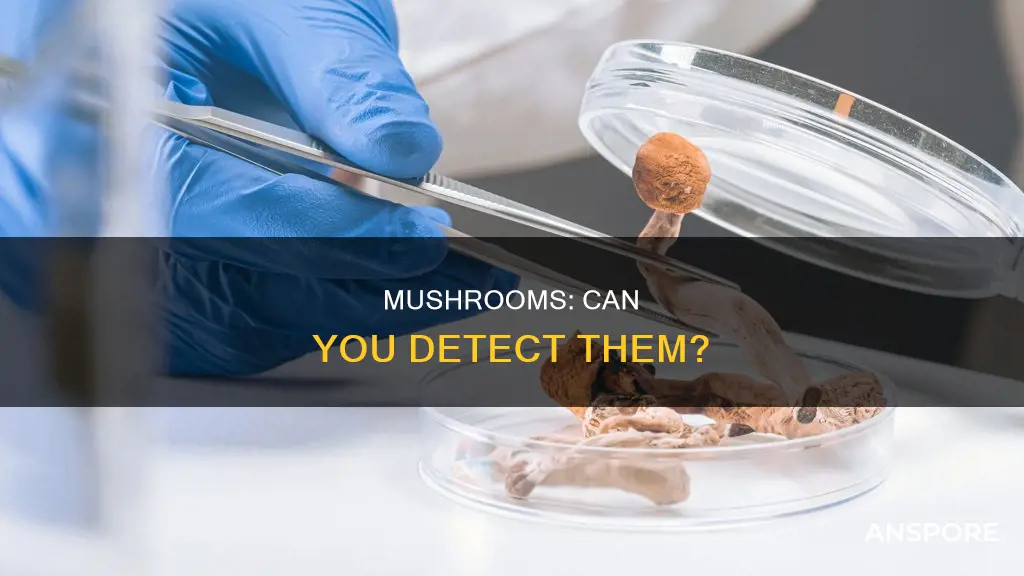 are mushrooms detectable