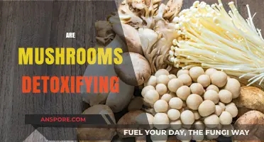 Mushrooms: Nature's Detoxifying Superfood?