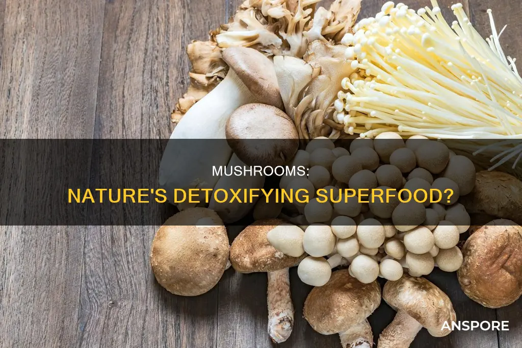 are mushrooms detoxifying