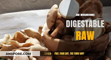 Raw Mushrooms: Safe to Eat or Not?