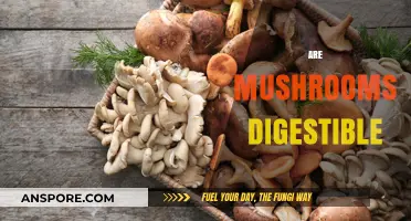 Mushrooms: Are They Safe and Easy to Digest?