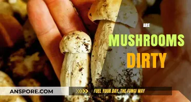Mushrooms: Dirty or Clean?