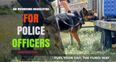 Mushrooms and Police Officers: Debunking Myths About Psilocybin Use