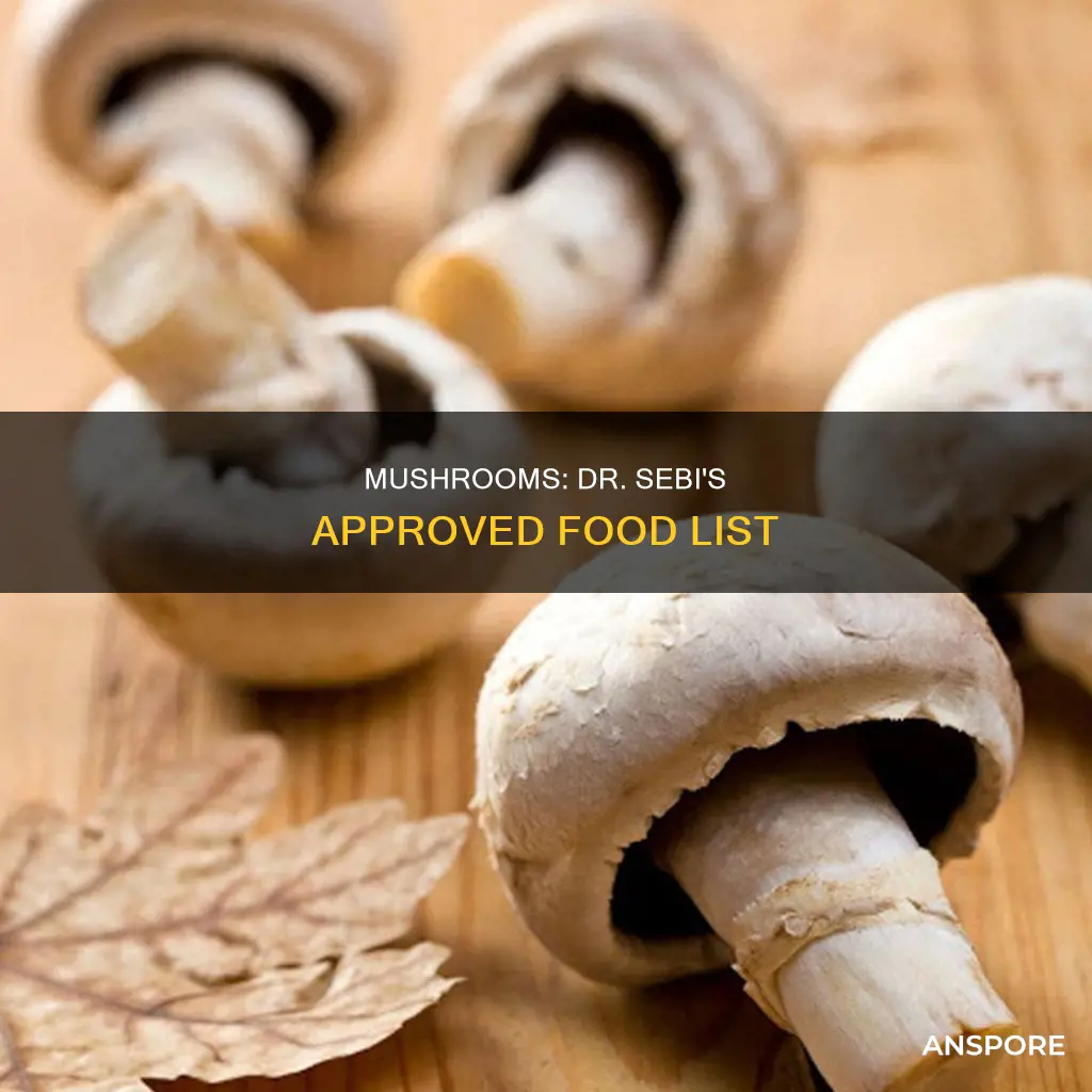 are mushrooms dr sebi approved