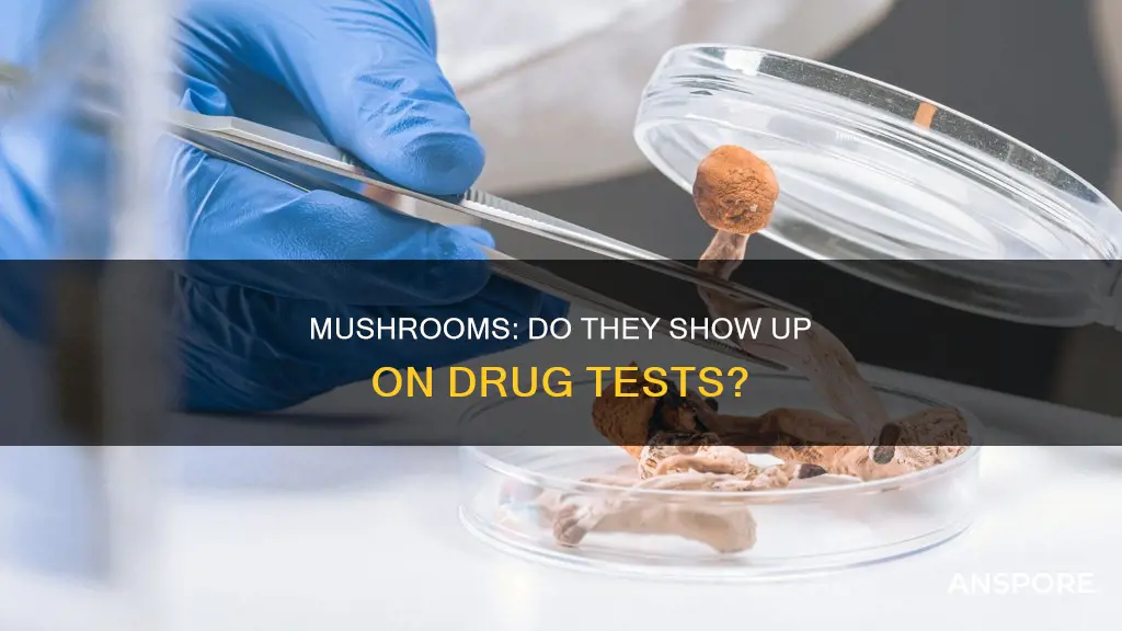 are mushrooms drug testable