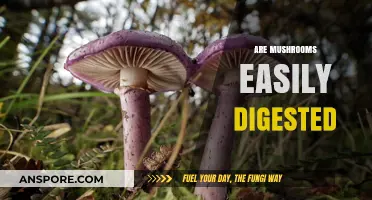 Mushrooms: Easy to Digest Superfood?