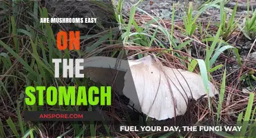 Mushrooms and Digestion: Are They Gentle on Your Stomach?
