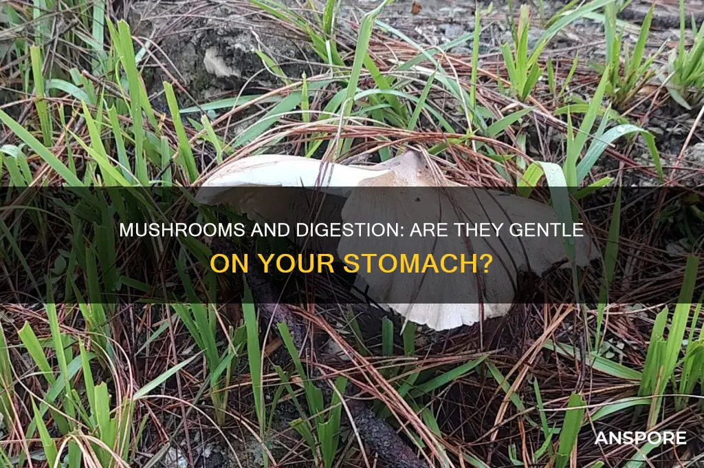are mushrooms easy on the stomach
