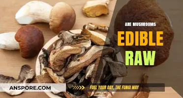 Can You Eat Mushrooms Raw? Safety and Edibility Explained