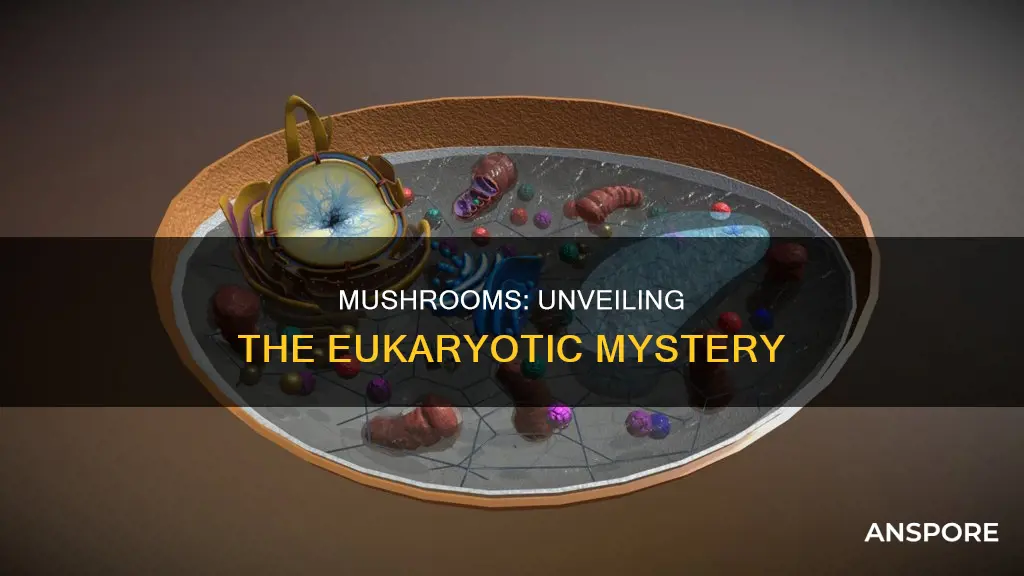 are mushrooms eukaryote of prokaryote