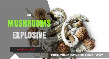 Mushrooms: Nature's Time Bomb?