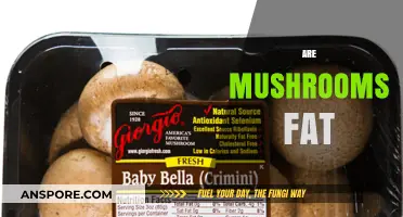 Mushrooms: Fattening or Healthy?