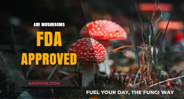 Mushrooms: FDA Approved or Not?