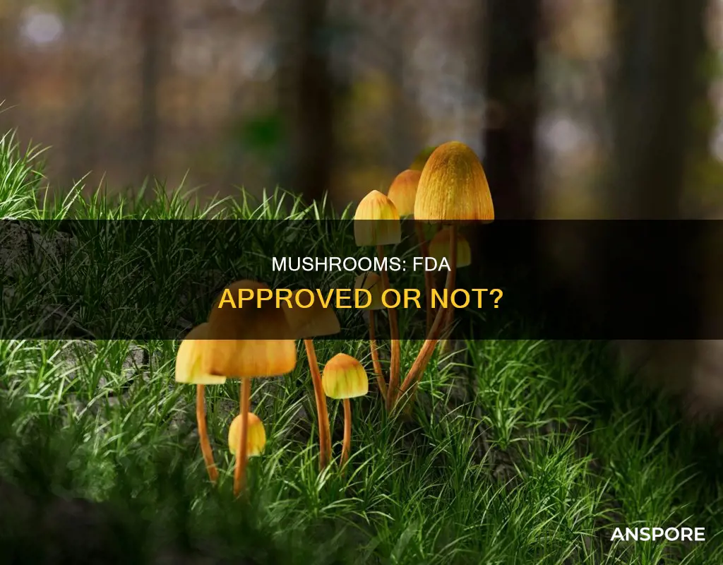 are mushrooms fda approved