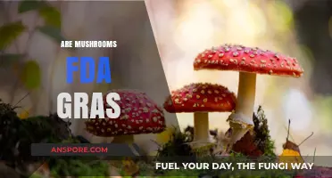 Mushrooms: FDA GRAS Status Explained
