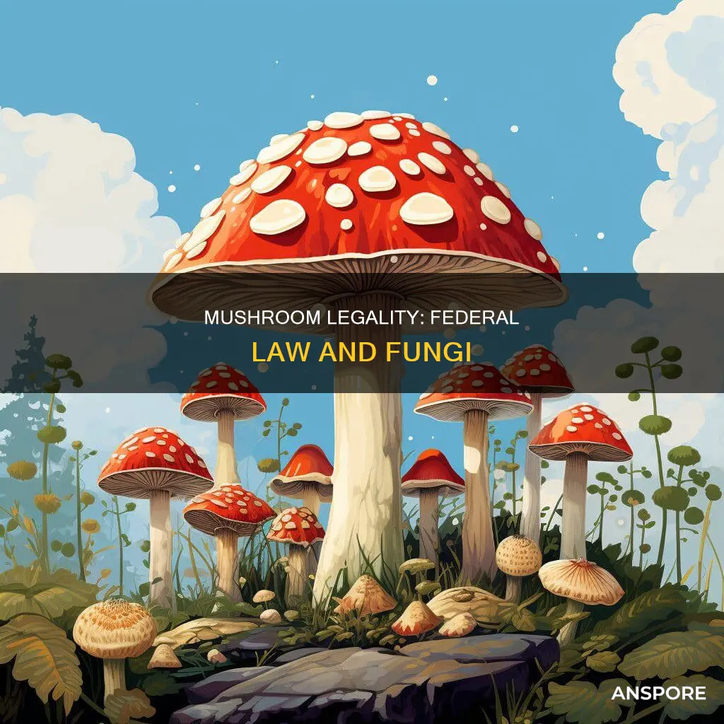 are mushrooms federally illegal