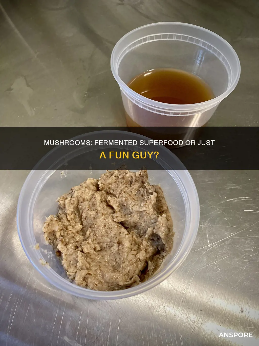 are mushrooms fermented