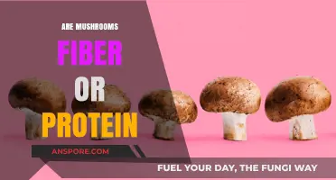 Mushrooms: A Fiber-Rich Protein Source?