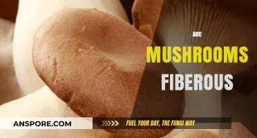 Mushrooms: A Surprising Source of Fiber?