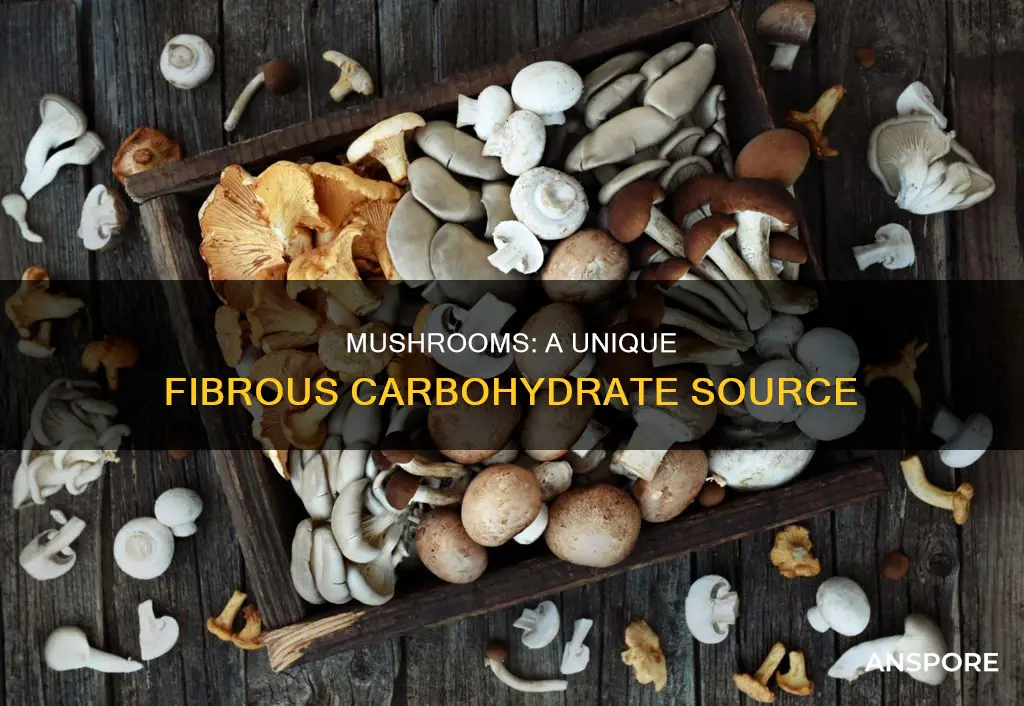 are mushrooms fibrous carbs