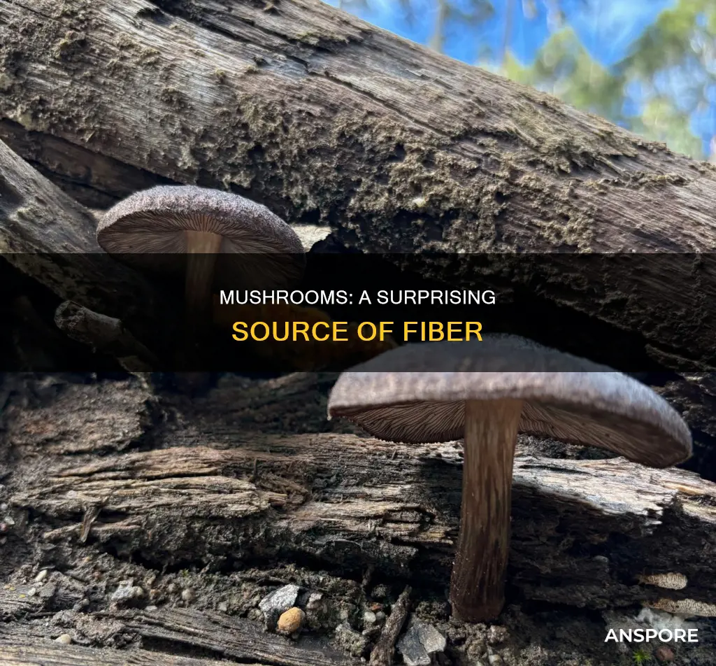 are mushrooms fibrous