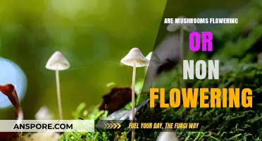 Mushrooms: Flowering or Non-Flowering? Unveiling Their Unique Classification