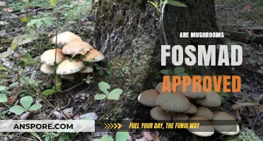 Mushrooms: FOSMAD Approved or Not?