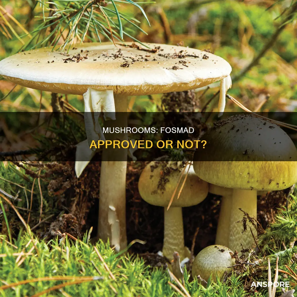 are mushrooms fosmad approved