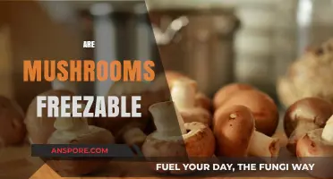 Freezing Mushrooms: What You Need to Know