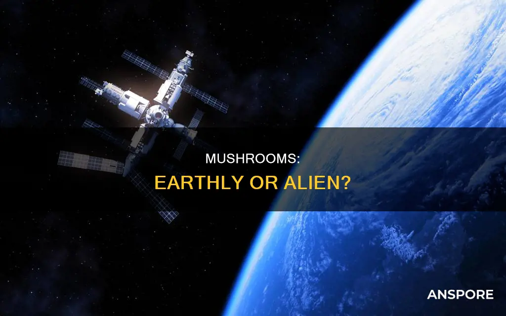 are mushrooms from another planet