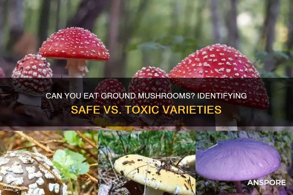 are mushrooms from the ground edible